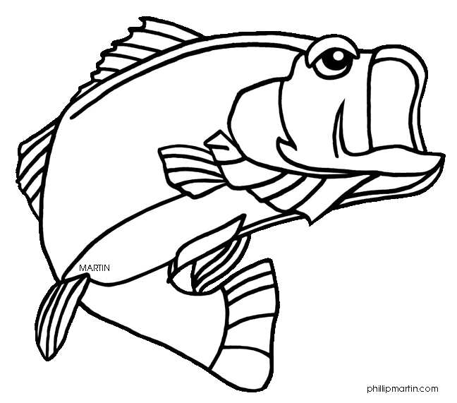 Bass clipart coloring page, Bass coloring page Transparent FREE for  download on WebStockReview 2020
