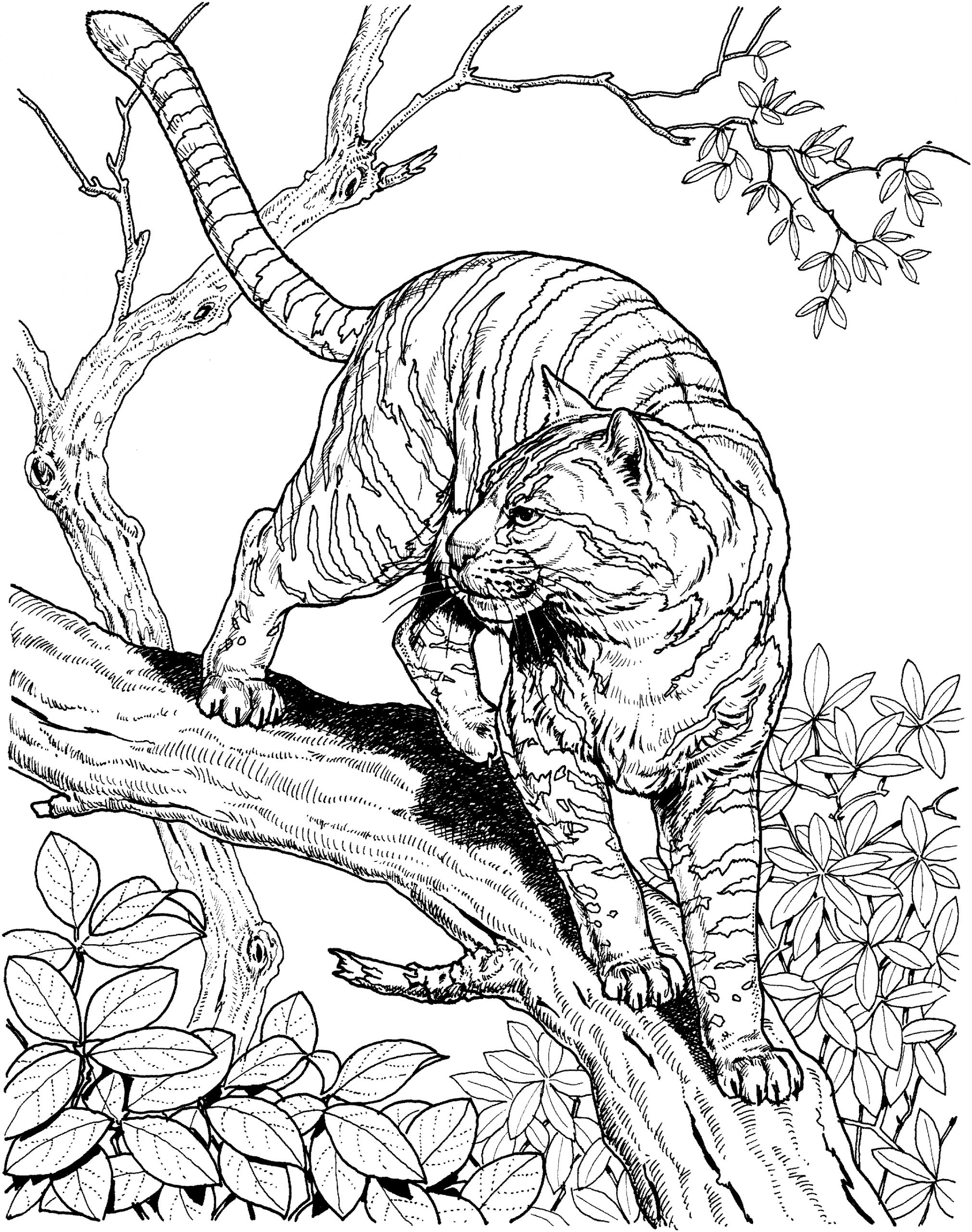 coloring book ~ Detailed Coloring Sheets Photo Inspirations Pages With Lots  Of Detail For Kids To Print Animal Free 86 Detailed Coloring Sheets Photo  Inspirations. Very Detailed Coloring Sheets For Kids. Detailed