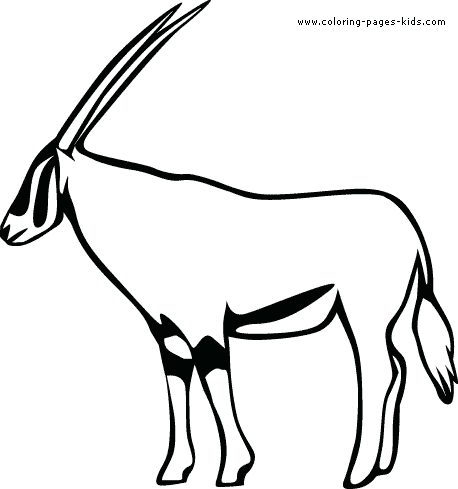 Gazelle color page