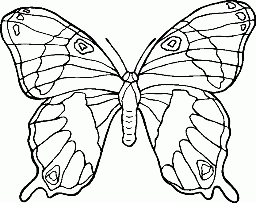 Related Butterfly Coloring Pages item-11272, Butterfly Coloring ...