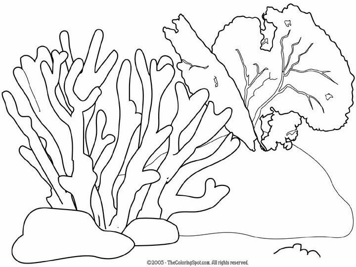 Coral Reef Coloring Pages | Coral | Free printable coloring pages ...