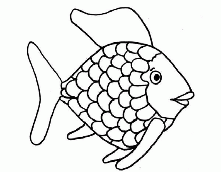 Rainbow Fish Outline Coloring Home