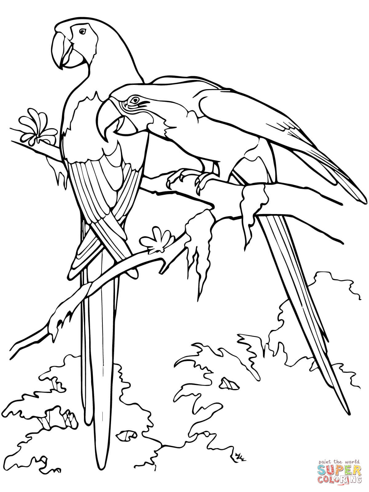 Scarlet Macaws coloring page | Free Printable Coloring Pages