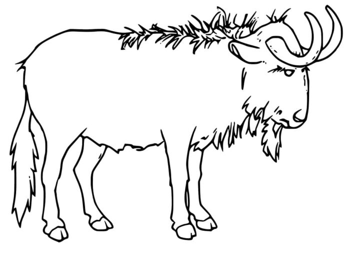 Gnu coloring book from cartoon for kids to print and online