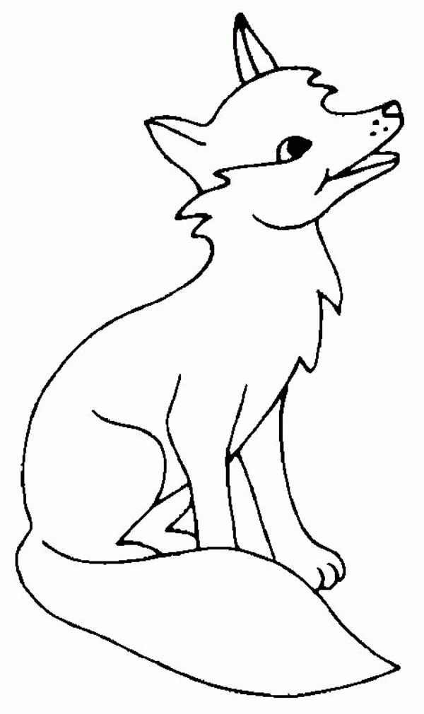 Baby Fox Coloring Pages Coloring Home