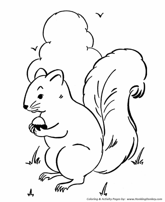 Wild Animal Coloring Pages | squirrels gather nuts Coloring Page 