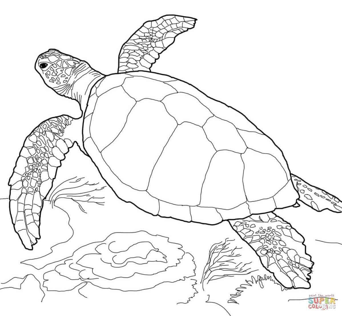Sea Turtle coloring page | Free Printable Coloring Pages