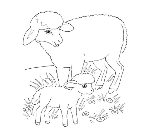 Sheep Mother and Lamb coloring page | Free Printable ...