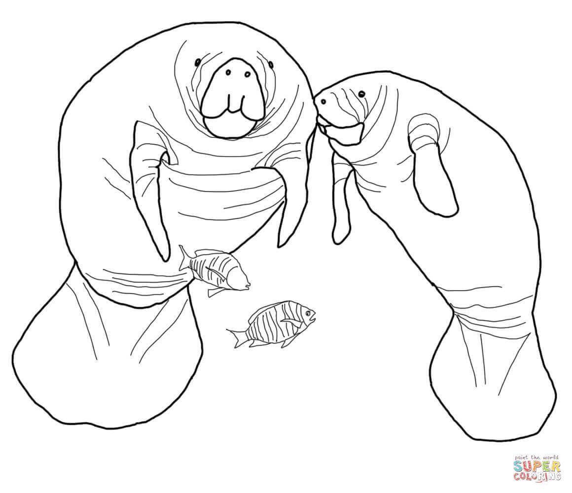 Manatee coloring pages | Free Coloring Pages