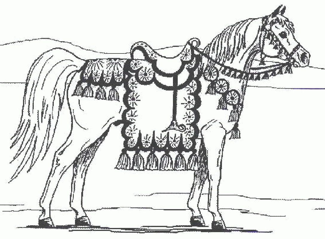 Королевская лошадь раскраска