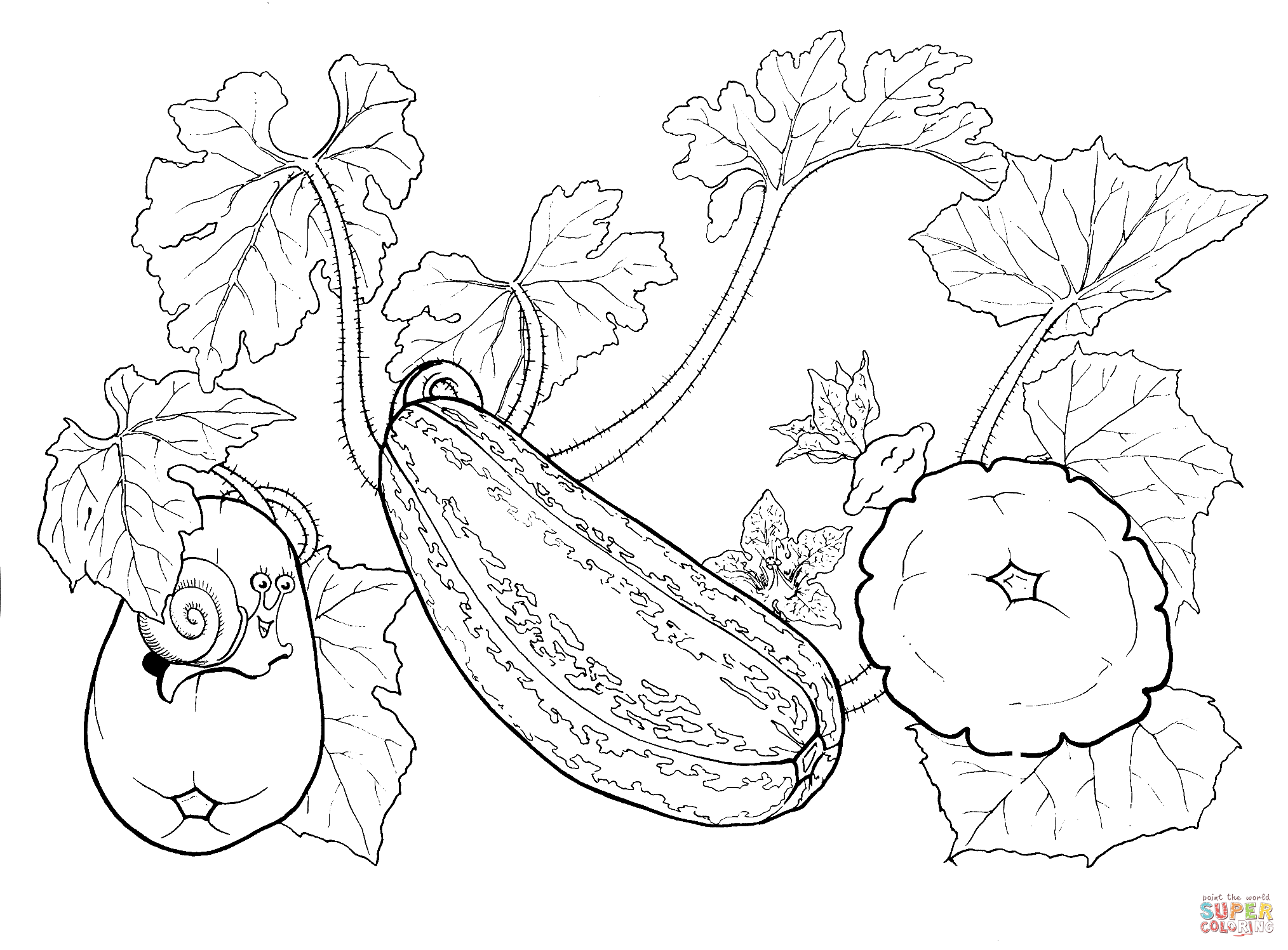 Zucchini Coloring Pages   Coloring Home
