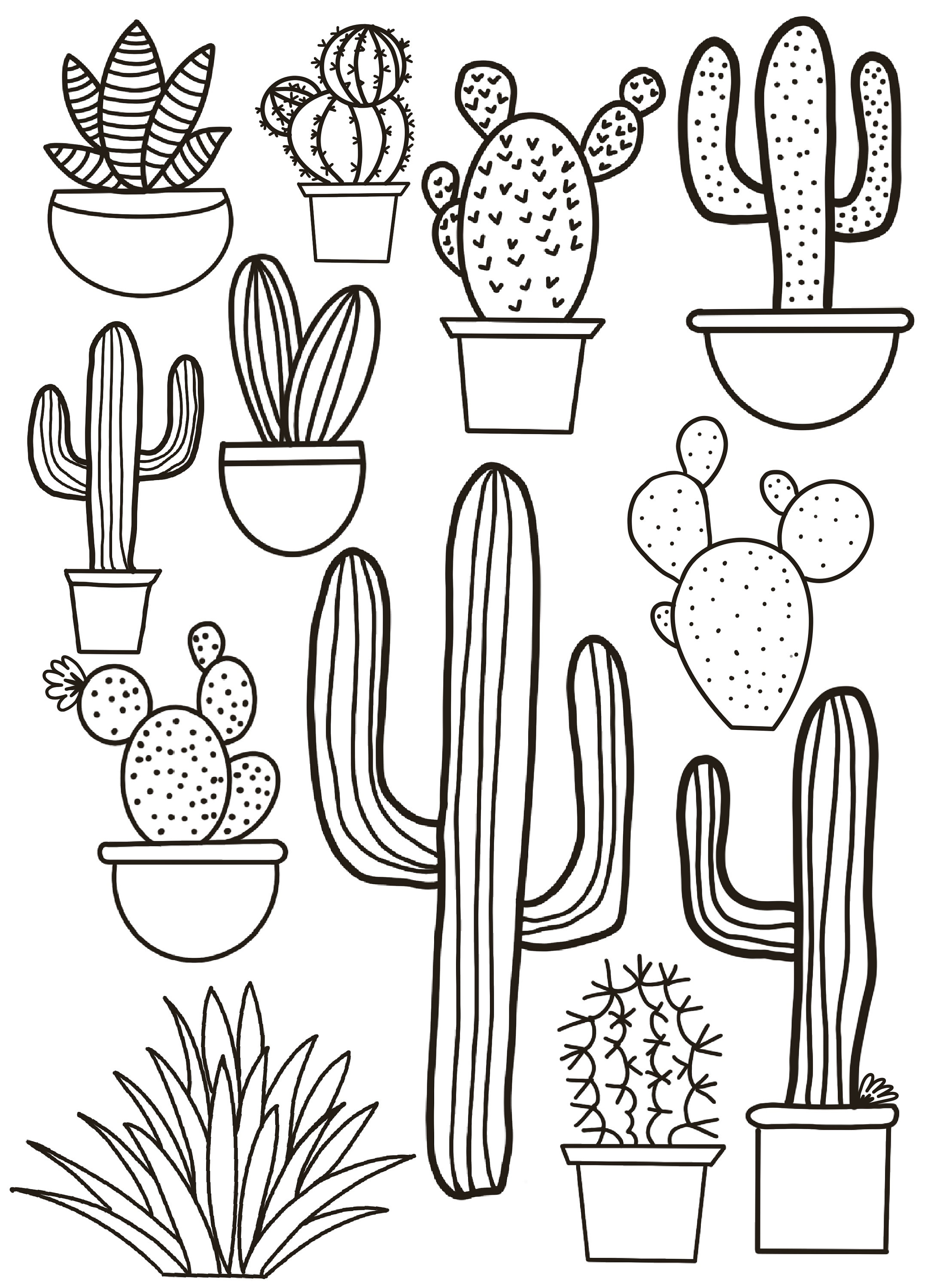 Cactus Coloring Page - Etsy