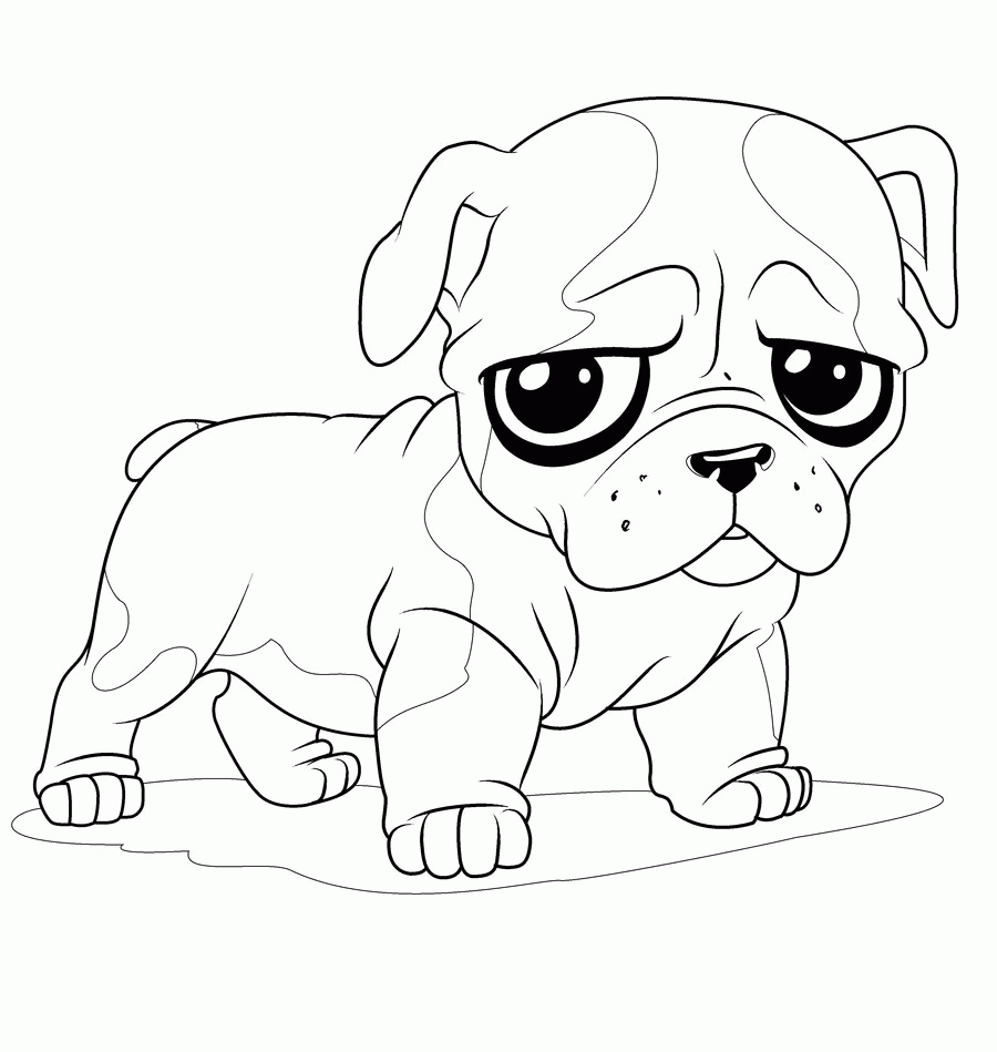 English Bulldog - Coloring Pages for Kids and for Adults