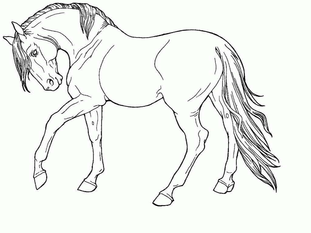 Free Horse Coloring Pages Image 46 - VoteForVerde.com
