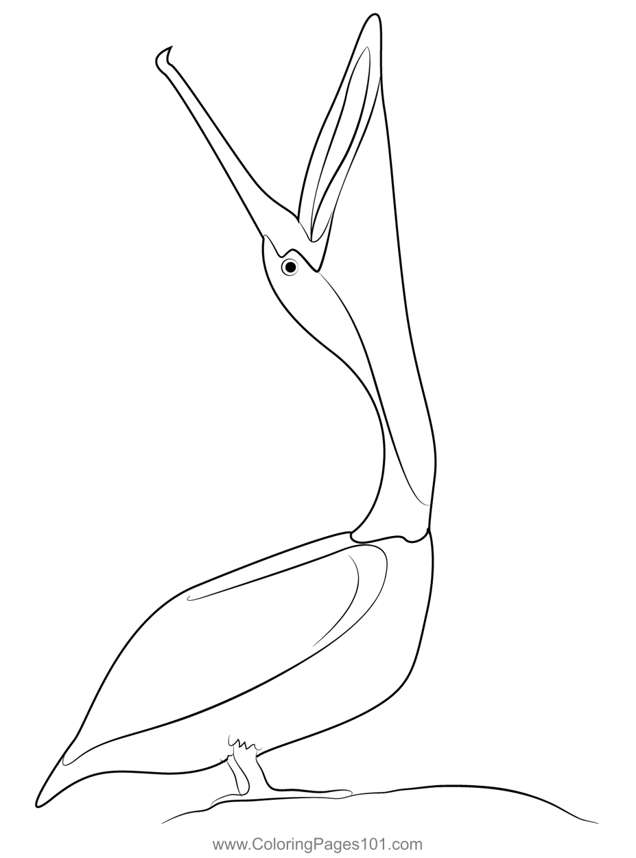Brown Pelican Open Mouth Coloring Page for Kids - Free Pelicans Printable Coloring  Pages Online for Kids - ColoringPages101.com | Coloring Pages for Kids