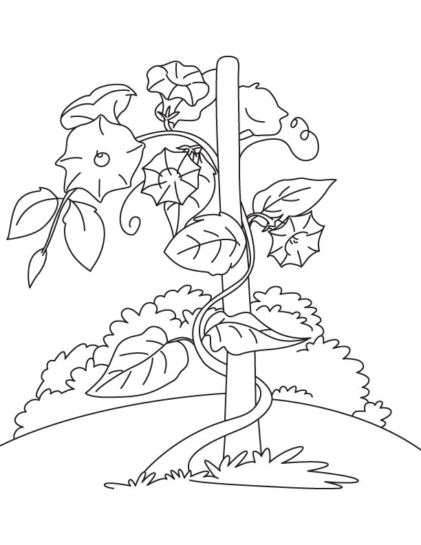 Flower Vine Coloring Pages at GetDrawings | Free download