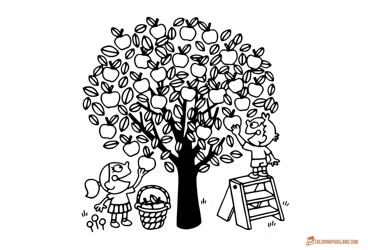 Apple orchard coloring pages for kids