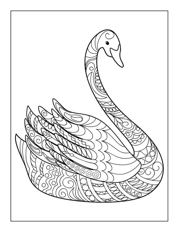 20 Printable Swan Coloring Pages for Children and Adults - Etsy Singapore