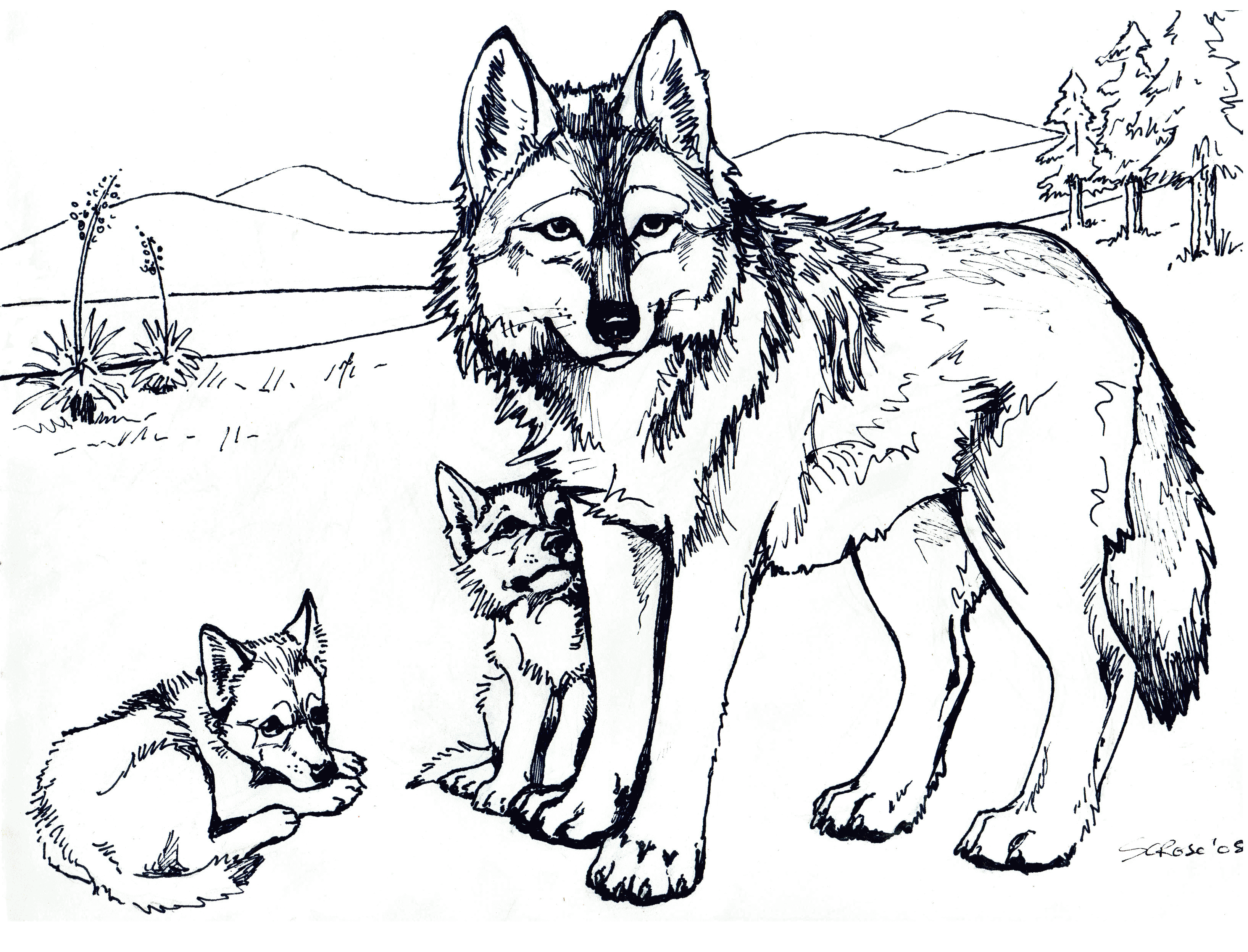 Printable Wolf Coloring Pages Home School - Colorine.net | #24664