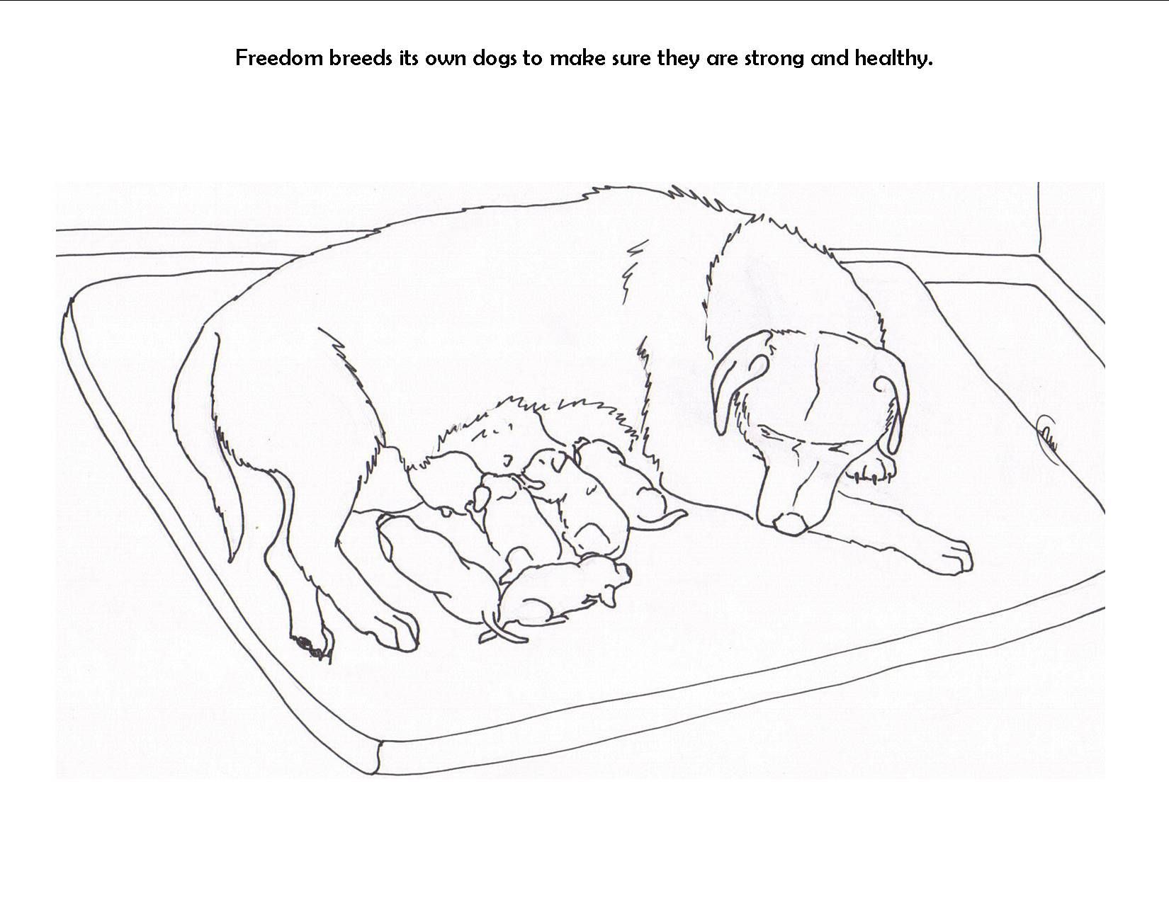 Of Dogs And Puppies - Coloring Pages for Kids and for Adults