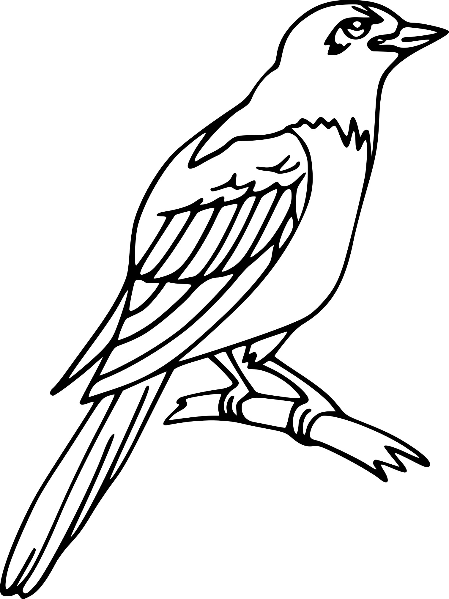 Magpie coloring page - free printable coloring pages on coloori.com