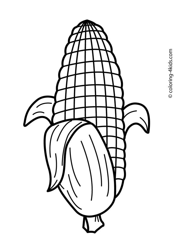Maize vegetable coloring page for kids, printable | fructe, legume ...