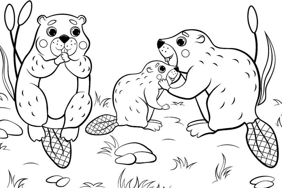 Animal Families Coloring Pages: Free & Fun Printable Coloring Pages of  Animal Families for Everyone | Printables | 30Seconds Mom