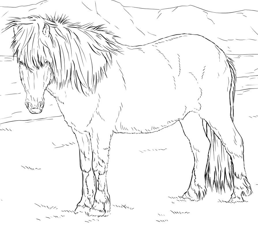 Realistic Icelandic Horse Coloring Page - Free Printable Coloring Pages for  Kids