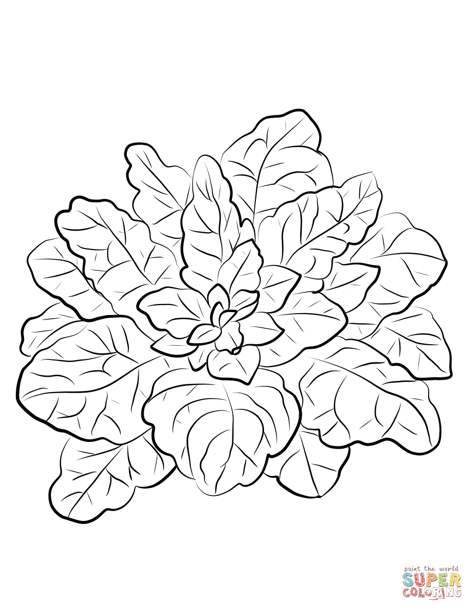 Spinach coloring page | Free Printable Coloring Pages