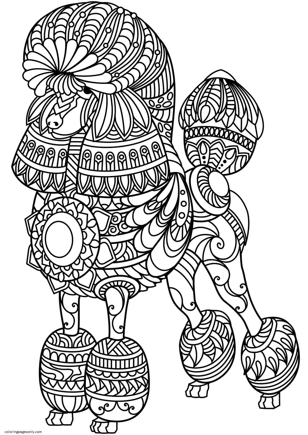 Poodle Zentangle Coloring Pages - Teenage Coloring Pages - Coloring Pages  For Kids And Adults