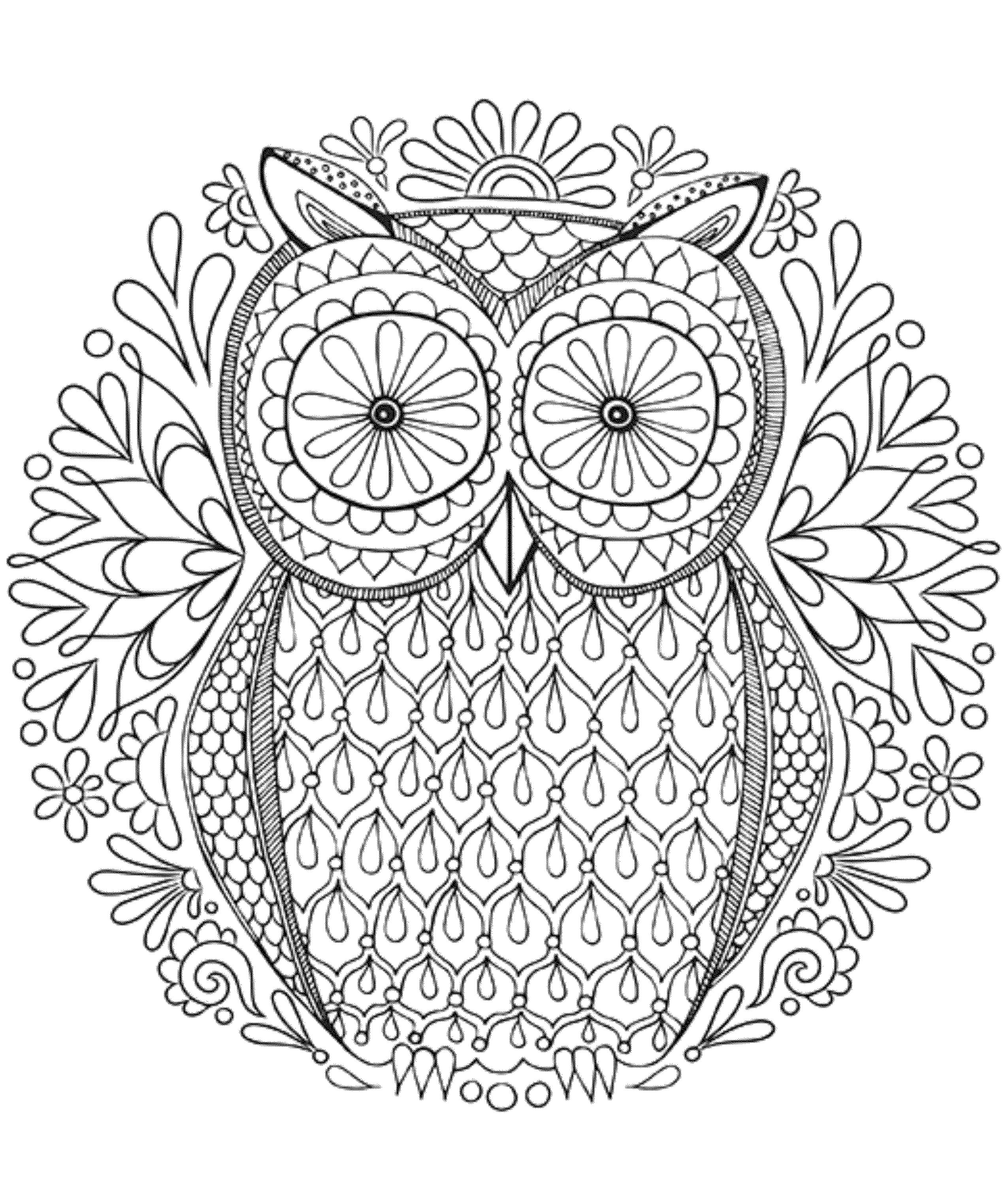 Owl Coloring Pages for Adults Hard - Printable Kids Colouring Pages