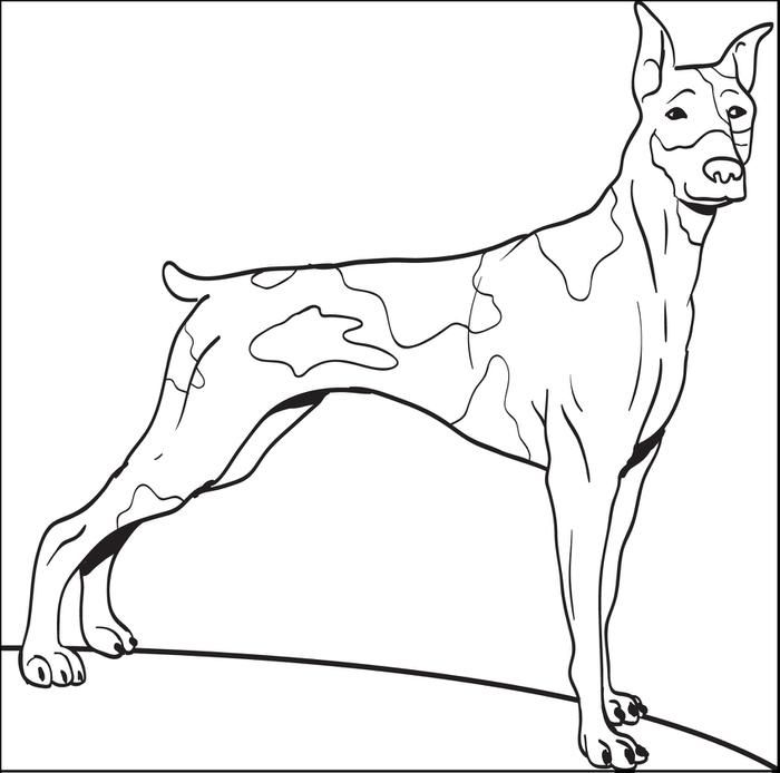 Free Dogs Coloring Pages for Kids - Printable Coloring Sheets
