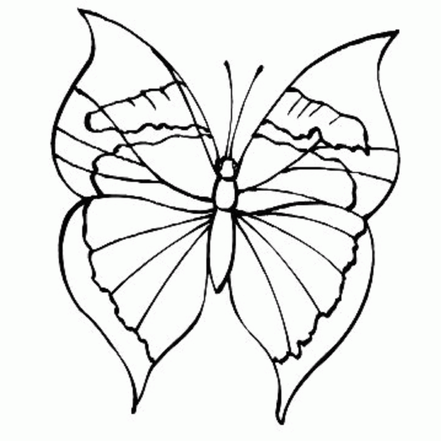Easy Butterfly Coloring Sheets | Coloring Online