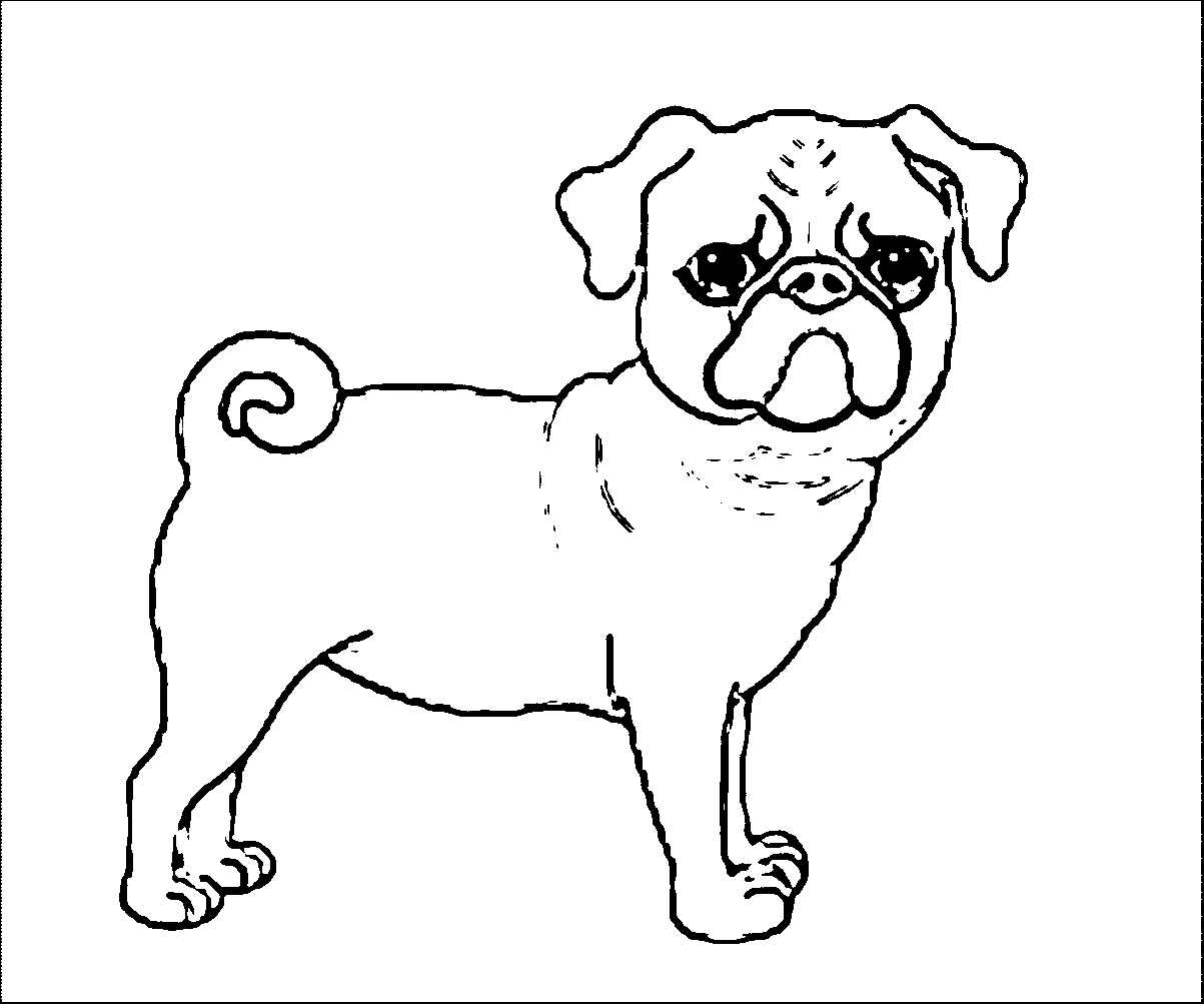 Pug Dog Curly Tail Dog Puppy Coloring Page Wecoloringpage