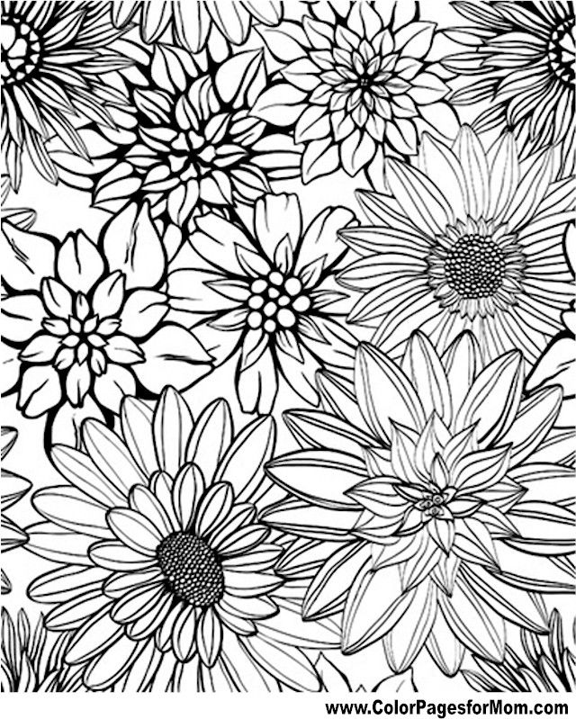 Flower Coloring Pages Advanced   Coloring Home