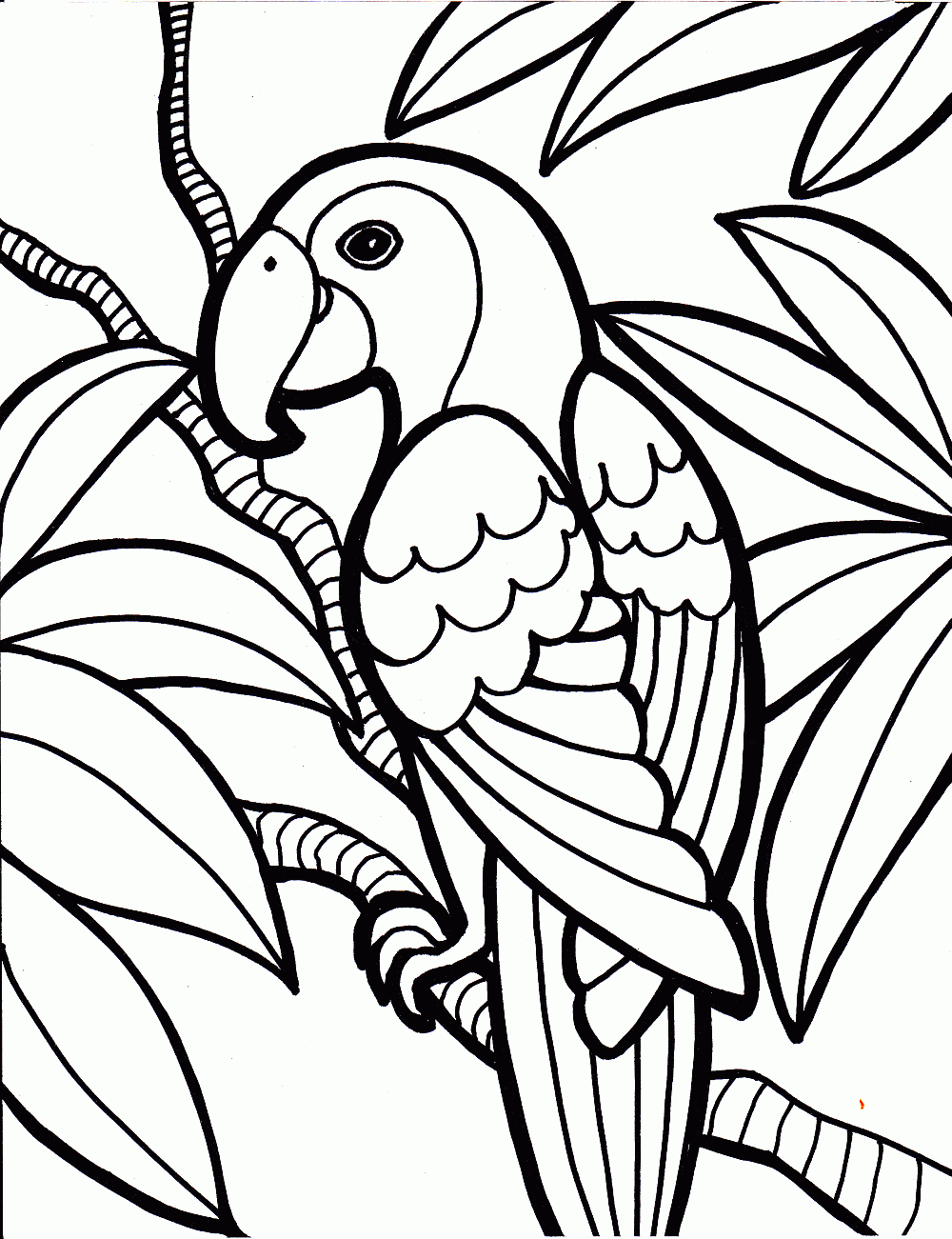 Cool Coloring Sheets For Kids Sheet Fabulous Photo Inspirations Parrot Bird  Pages Rainforest Pagescoloring – Approachingtheelephant