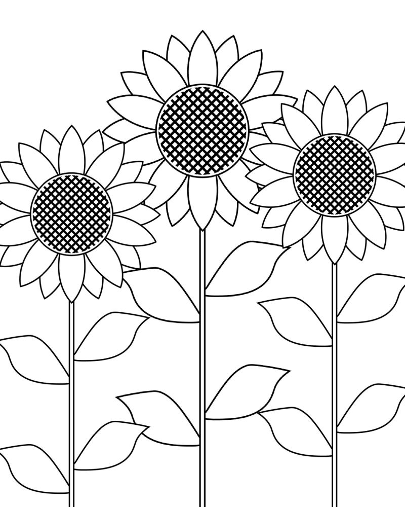 Free Printable Sunflower Garden Coloring Page - Mama Likes This