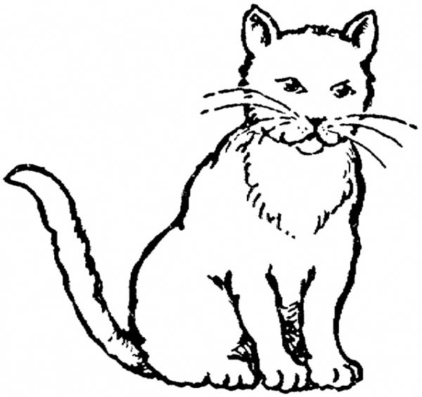 SchoolRealistic Cat Coloring Pages for Kids 30973 ...
