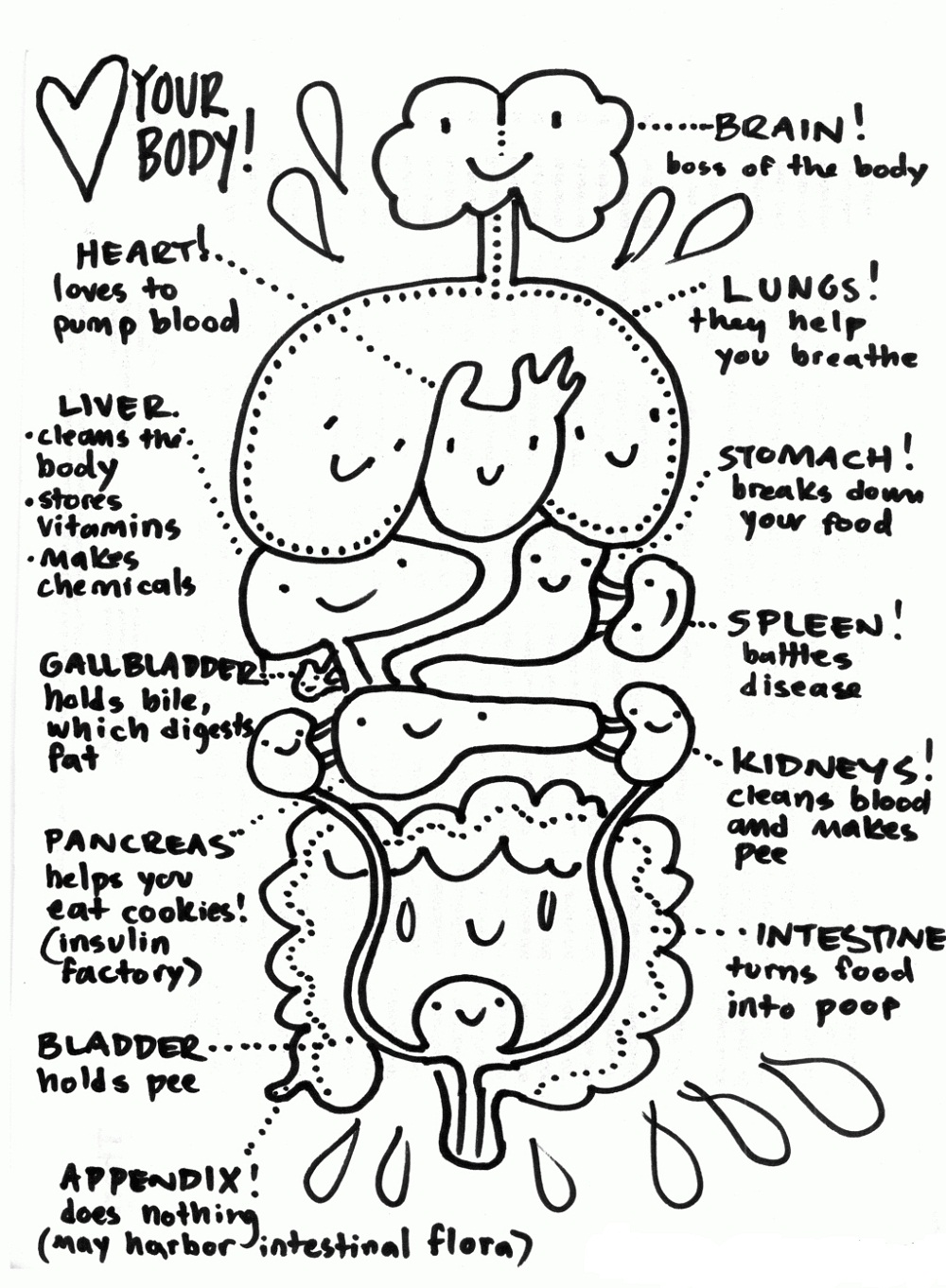 Digestive System Coloring Pages | Printable Shelter