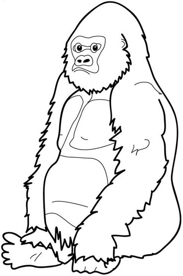 Gorilla Coloring Page | COLORING PAGES FOR FREE | Pinterest ...