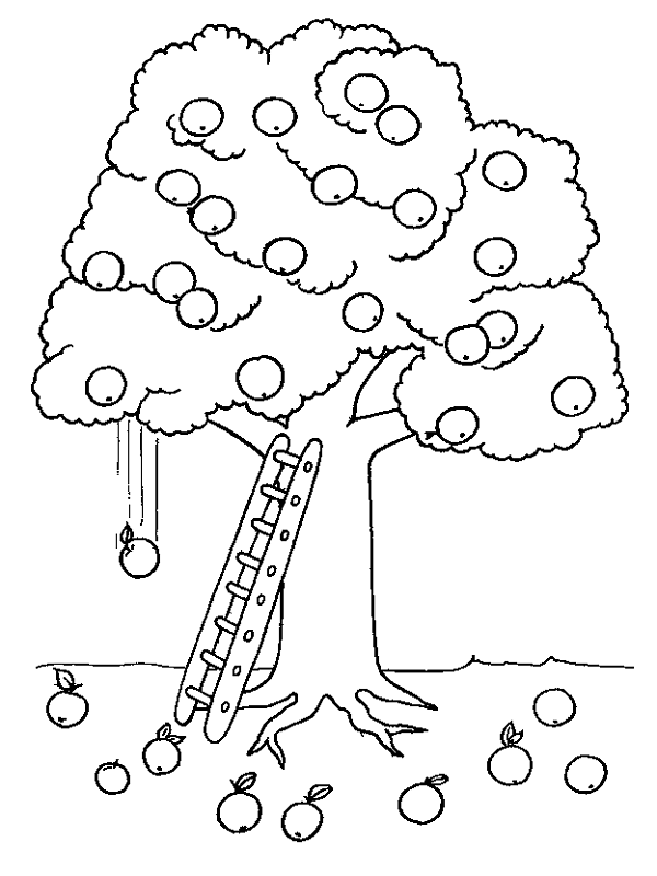 Apple Tree Coloring Page (20 Pictures) - Colorine.net | 9702