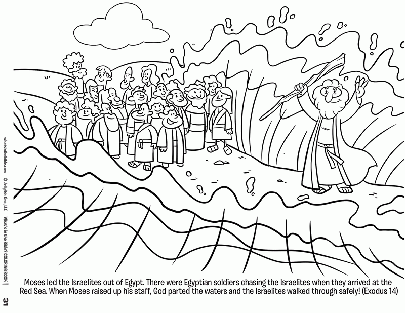 Free coloring pages of divide the sea