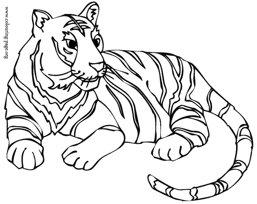Baby Tiger Coloring Page Coloring Home