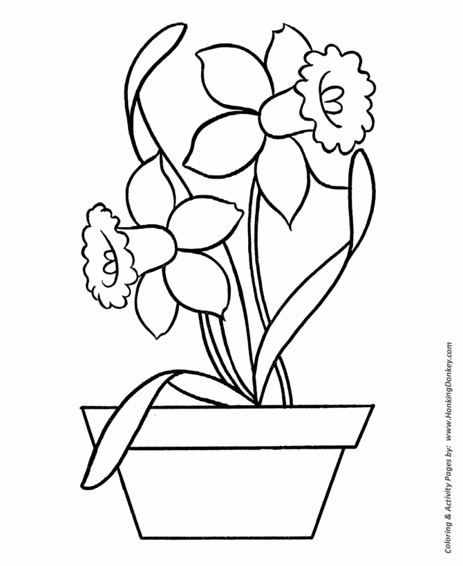 Easy Coloring Pages | Free Printable Daffodils in Pot Easy 