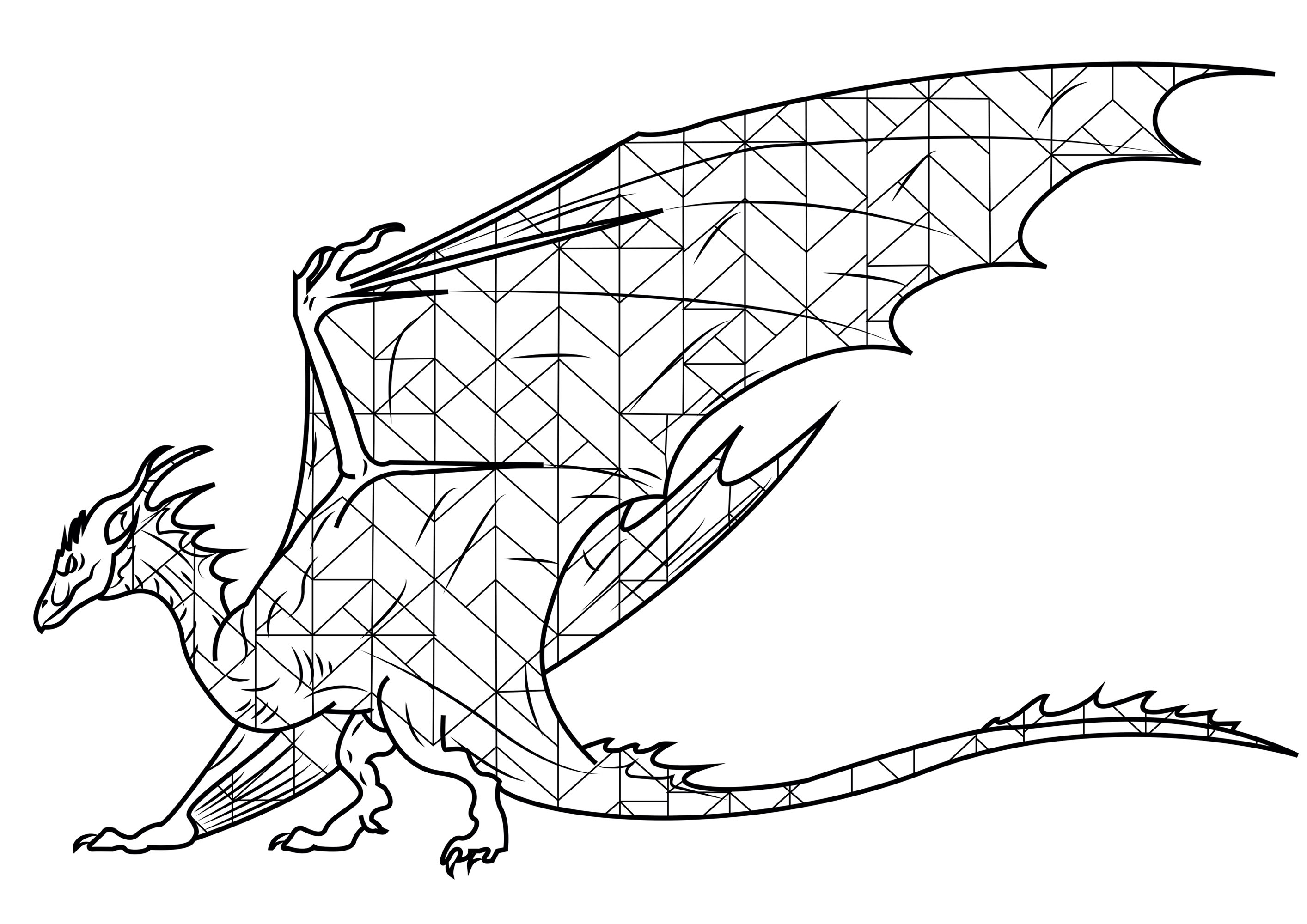 Dragon Wyvern - Dragons Adult Coloring Pages