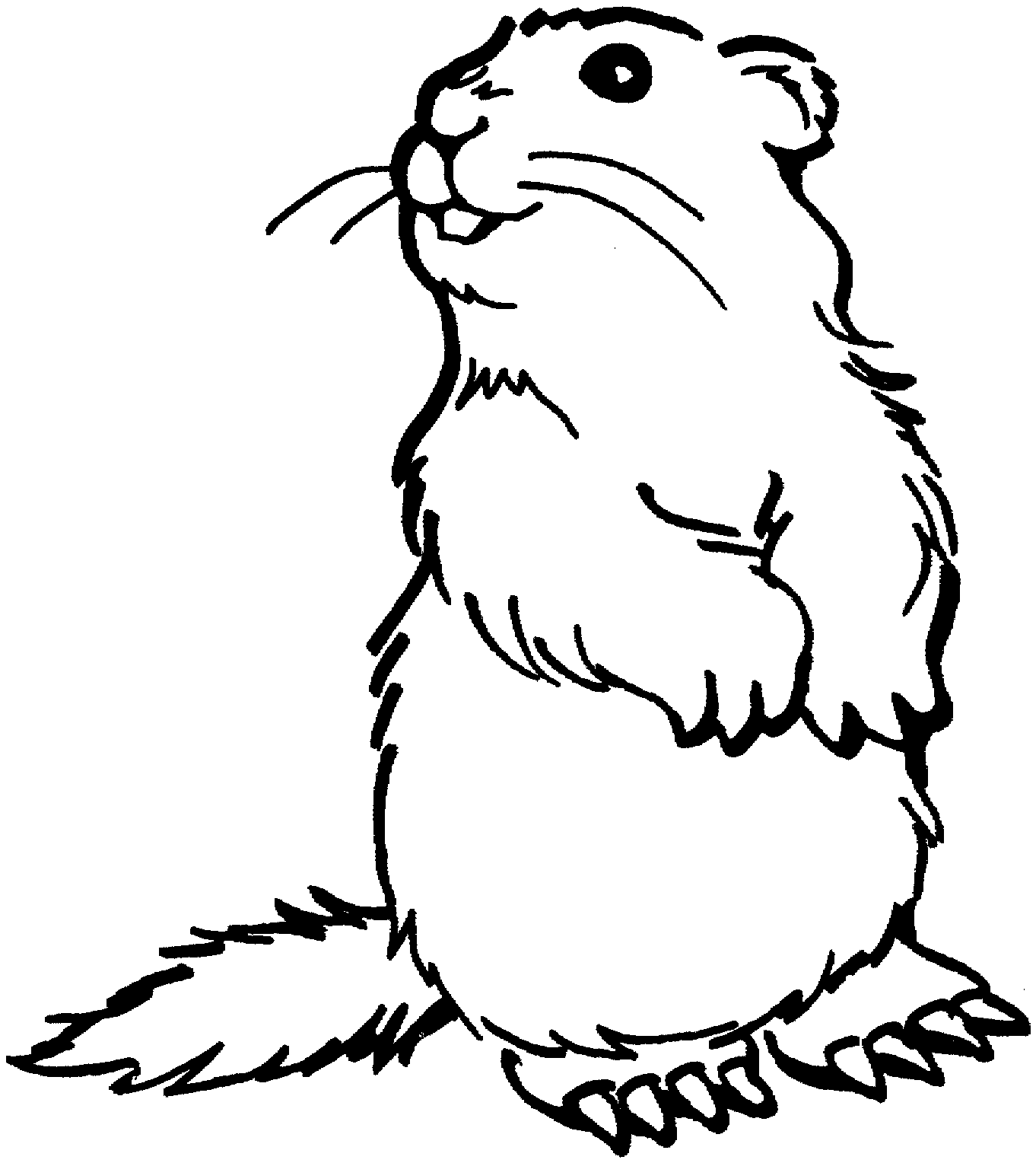 Grassland Animals Coloring Pages   Coloring Home