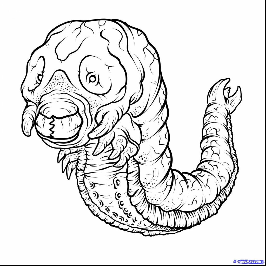 The best free Mothra coloring page images. Download from 14 free ...