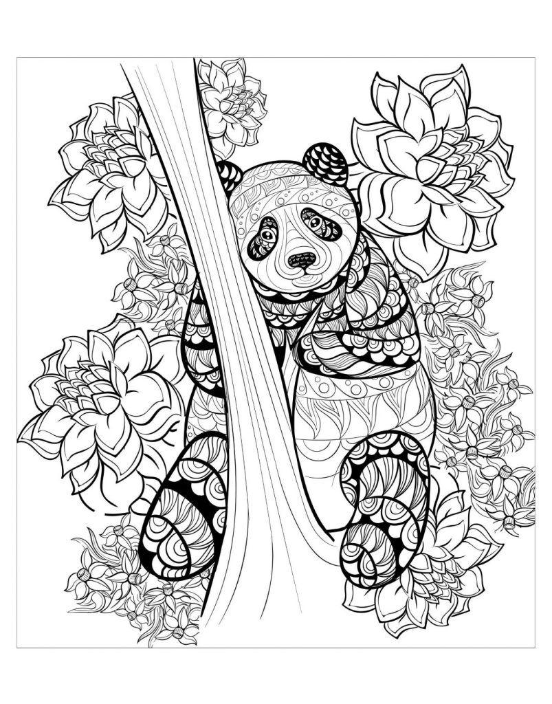 Panda Coloring Pages – coloring.rocks!