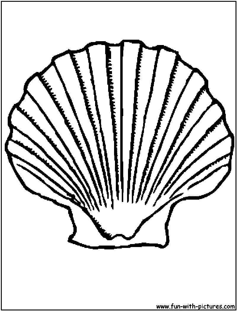 List Of Clam Coloring Pages