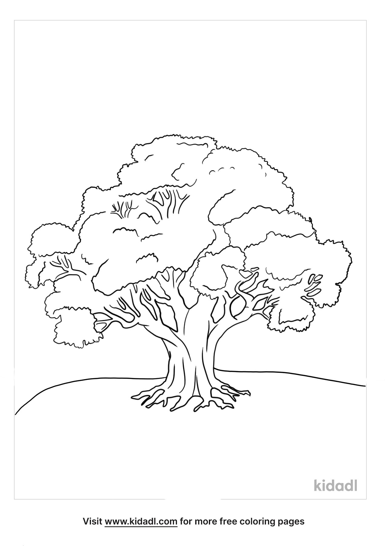 Georgia Oak Tree Coloring Pages | Free Plants Coloring Pages | Kidadl